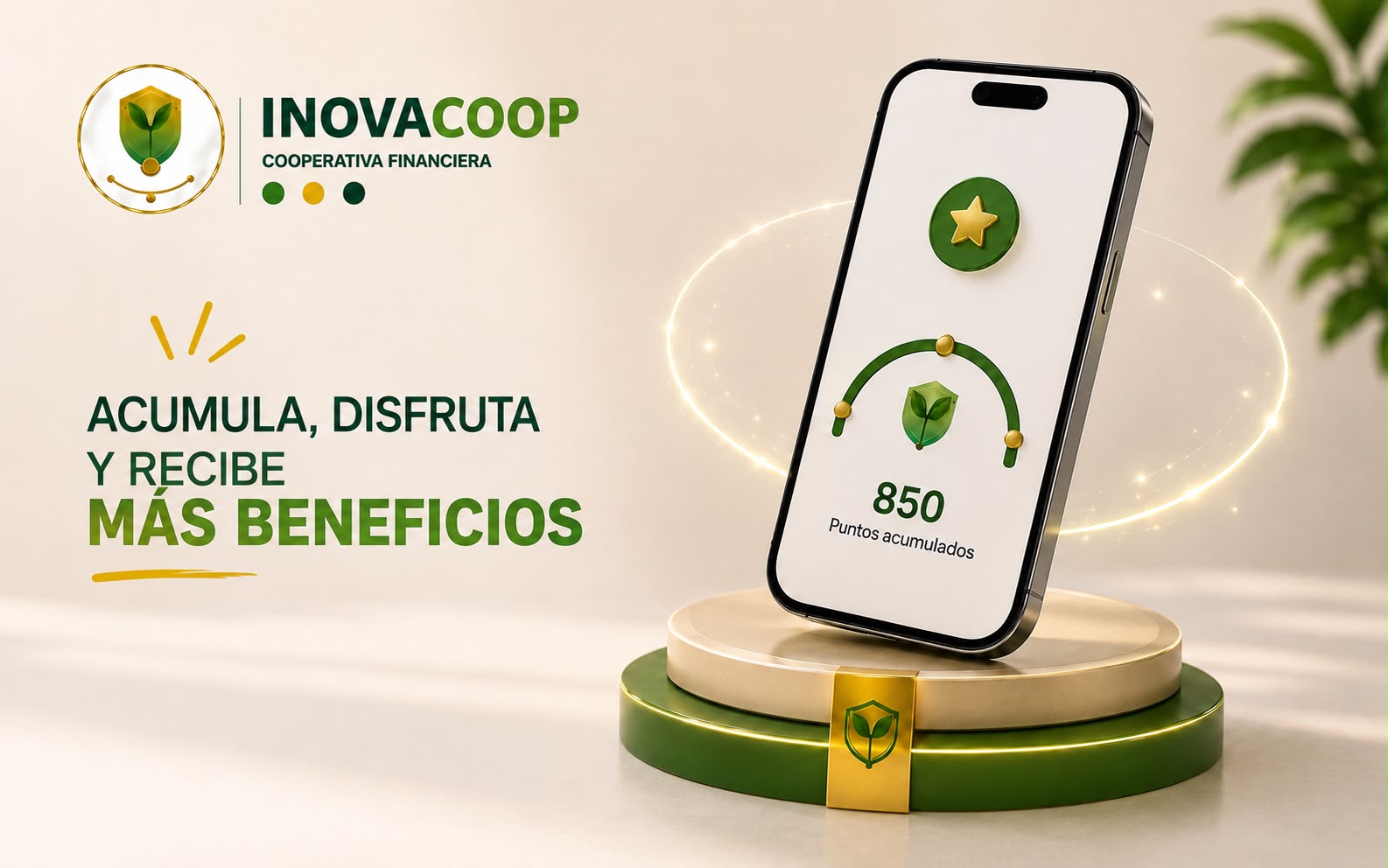 Puntos INOVACOOP